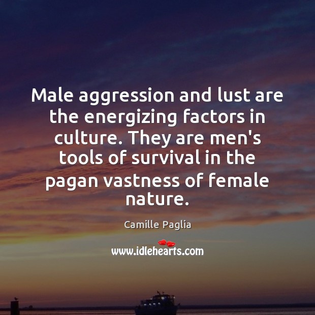 Male aggression and lust are the energizing factors in culture. They are 