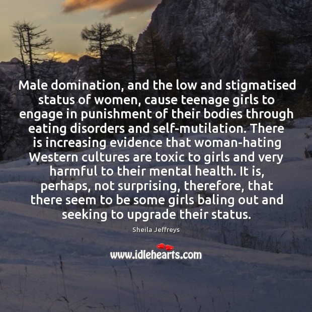 Male domination, and the low and stigmatised status of women, cause teenage Sheila Jeffreys Picture Quote