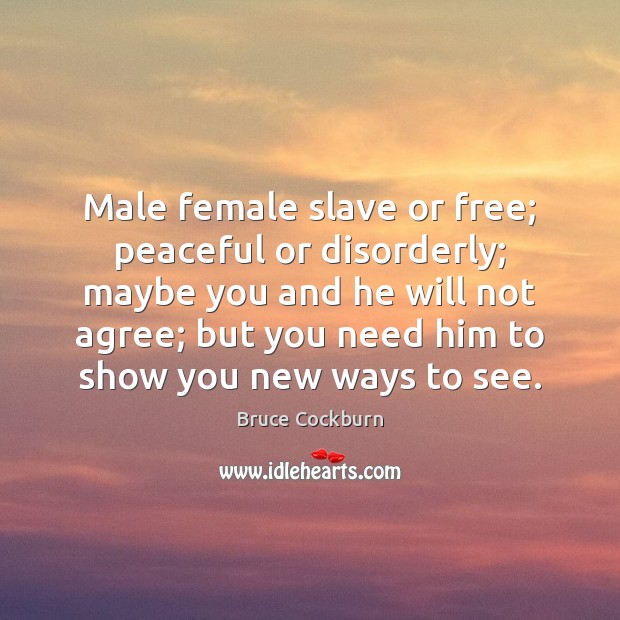 Male female slave or free; peaceful or disorderly; maybe you and he Bruce Cockburn Picture Quote