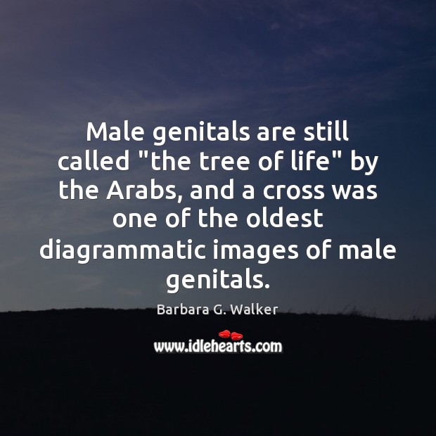 Male genitals are still called “the tree of life” by the Arabs, Barbara G. Walker Picture Quote