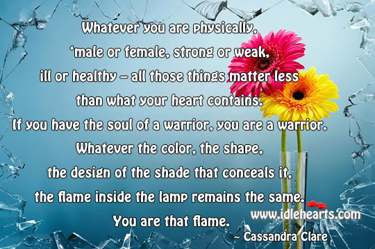Soul of a warrior, you are a warrior. Cassandra Clare Picture Quote