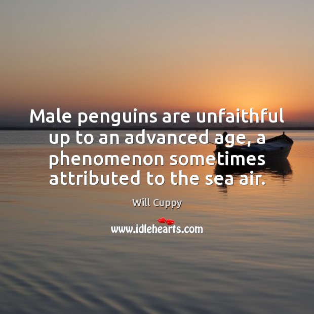 Male penguins are unfaithful up to an advanced age, a phenomenon sometimes Will Cuppy Picture Quote