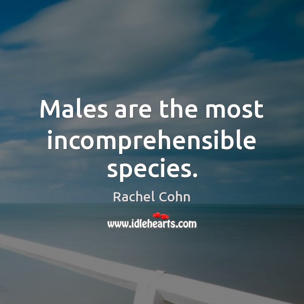 Males are the most incomprehensible species. Image