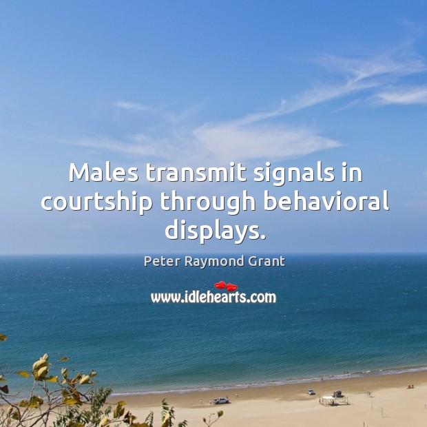 Males transmit signals in courtship through behavioral displays. Peter Raymond Grant Picture Quote