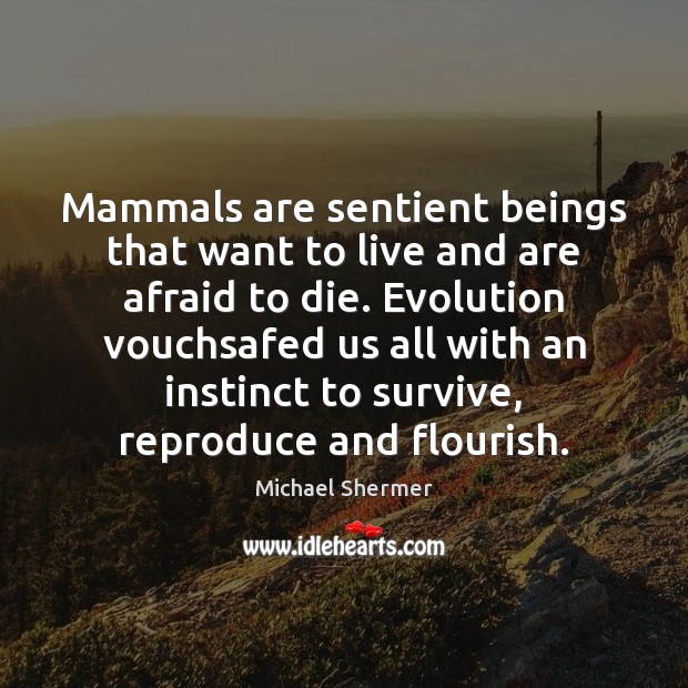 Mammals are sentient beings that want to live and are afraid to Michael Shermer Picture Quote