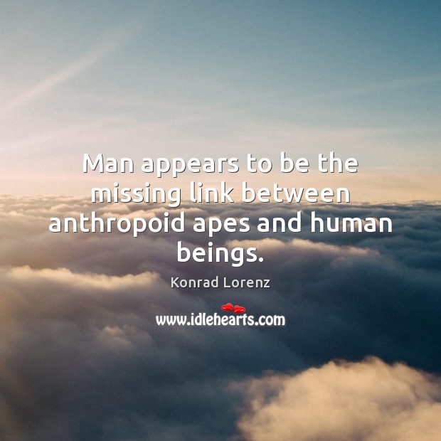 Man appears to be the missing link between anthropoid apes and human beings. Konrad Lorenz Picture Quote