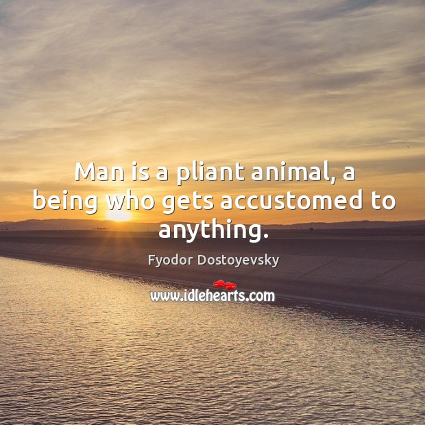 Man is a pliant animal, a being who gets accustomed to anything. Fyodor Dostoyevsky Picture Quote