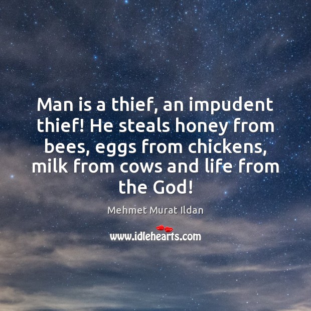 Man is a thief, an impudent thief! He steals honey from bees, Image