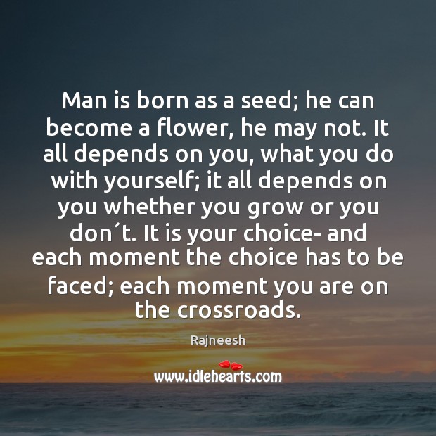 Man is born as a seed; he can become a flower, he Rajneesh Picture Quote