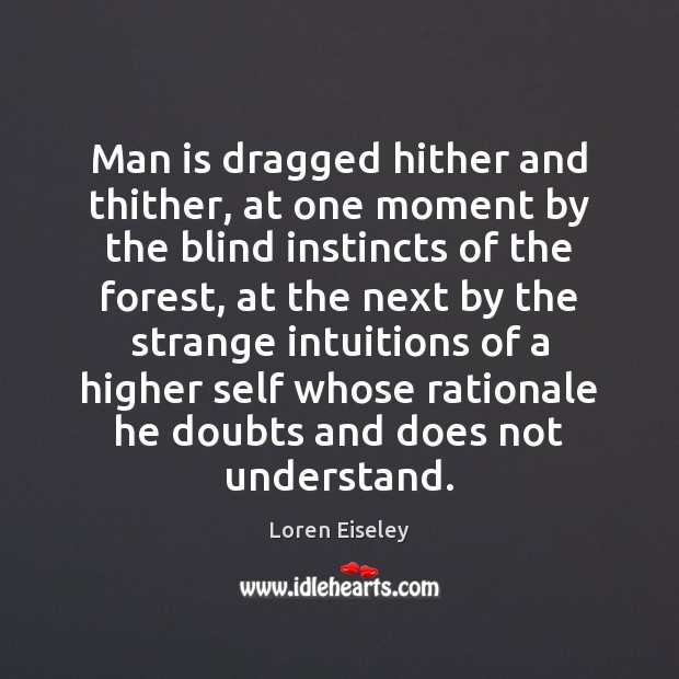 Man is dragged hither and thither, at one moment by the blind Loren Eiseley Picture Quote