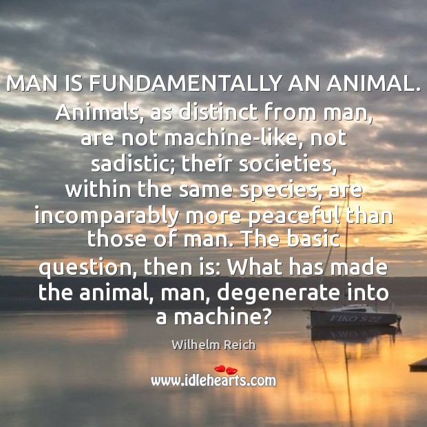 MAN IS FUNDAMENTALLY AN ANIMAL. Animals, as distinct from man, are not Wilhelm Reich Picture Quote