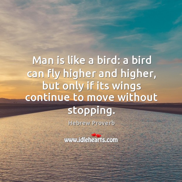Man is like a bird: a bird can fly higher and higher, but only if its wings continue to move without stopping. Hebrew Proverbs Image