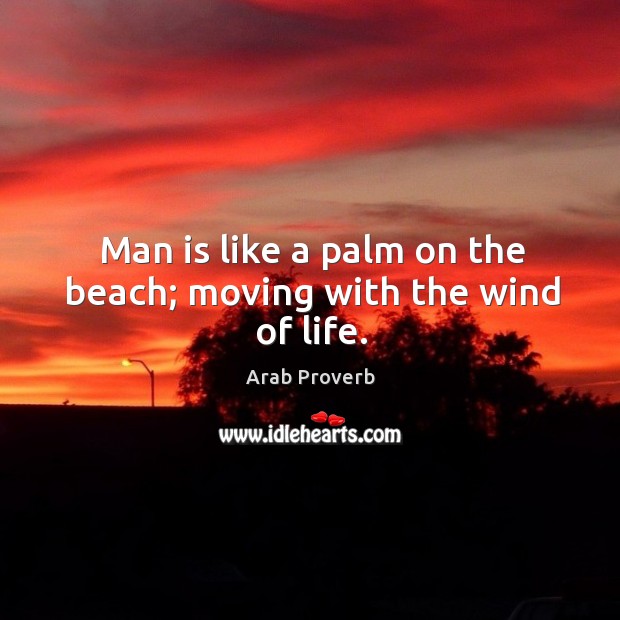 Man is like a palm on the beach; moving with the wind of life. Arab Proverbs Image