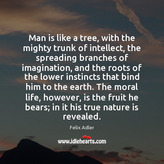 Man is like a tree, with the mighty trunk of intellect, the Felix Adler Picture Quote