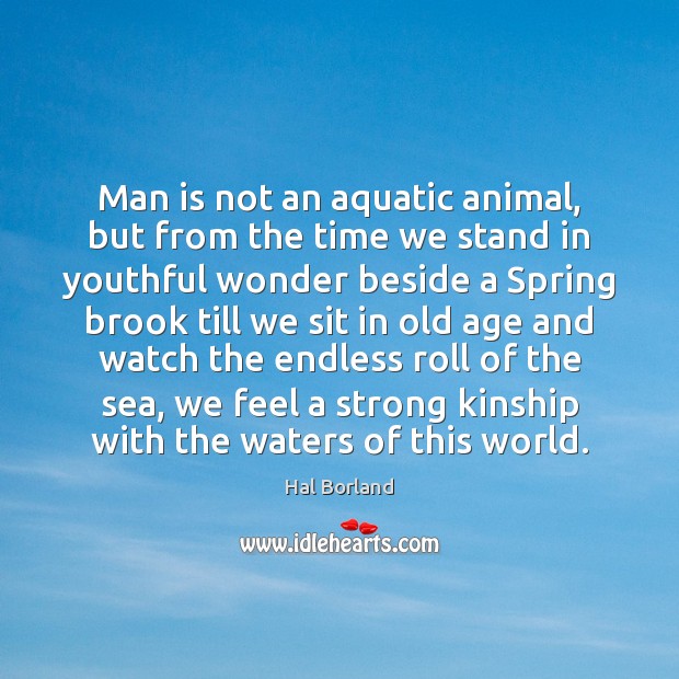 Man is not an aquatic animal, but from the time we stand Hal Borland Picture Quote