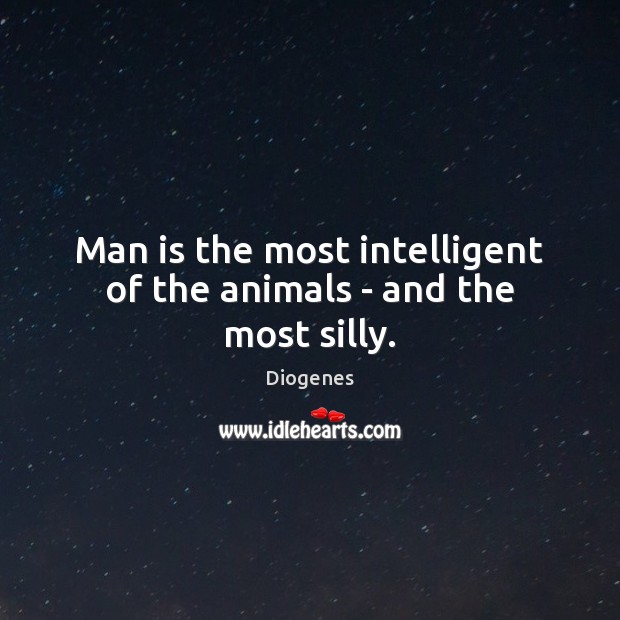 Man is the most intelligent of the animals – and the most silly. Image
