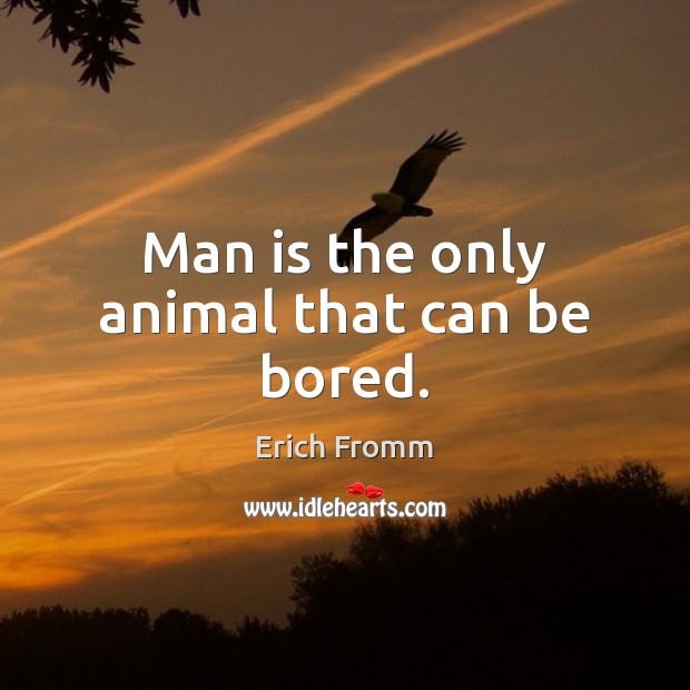 Man is the only animal that can be bored. Erich Fromm Picture Quote