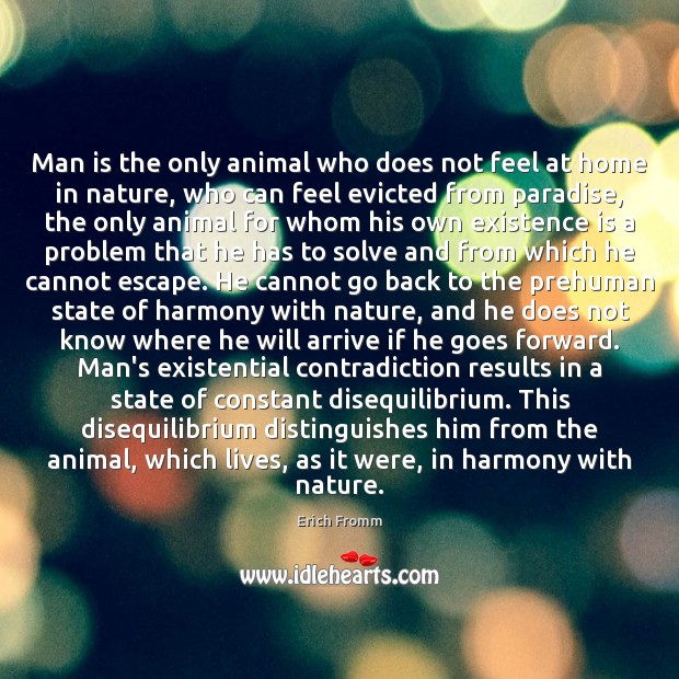 Man is the only animal who does not feel at home in Erich Fromm Picture Quote
