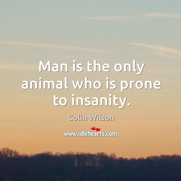 Man is the only animal who is prone to insanity. Colin Wilson Picture Quote