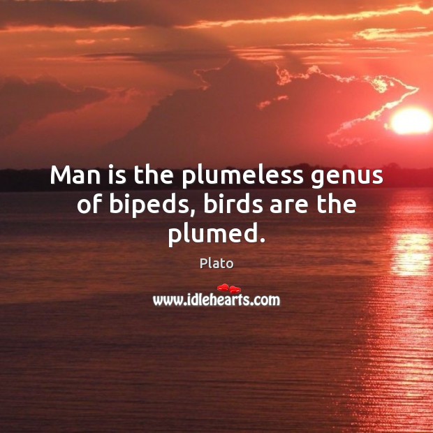 Man is the plumeless genus of bipeds, birds are the plumed. Image