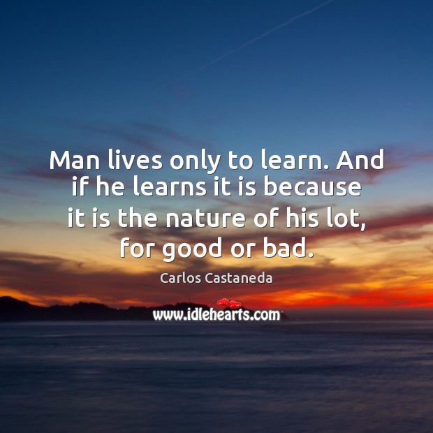Man lives only to learn. And if he learns it is because Carlos Castaneda Picture Quote
