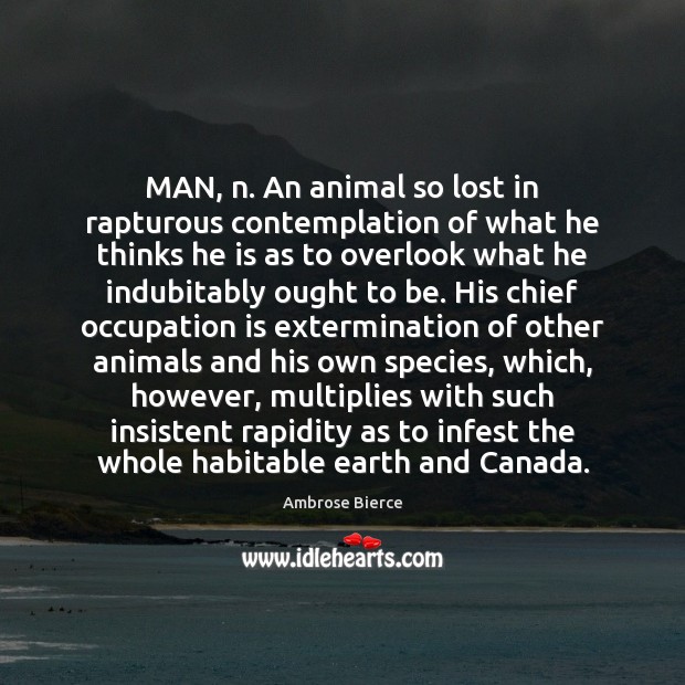 MAN, n. An animal so lost in rapturous contemplation of what he Ambrose Bierce Picture Quote
