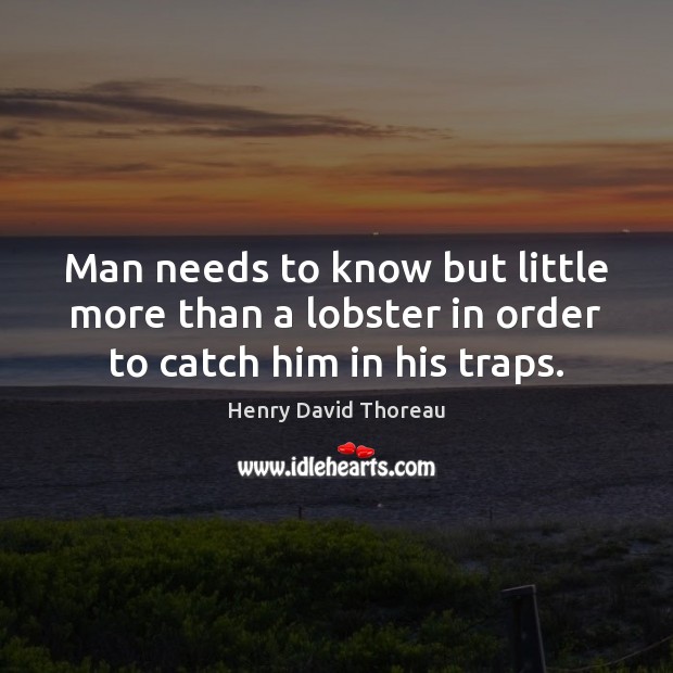 Man needs to know but little more than a lobster in order to catch him in his traps. Image