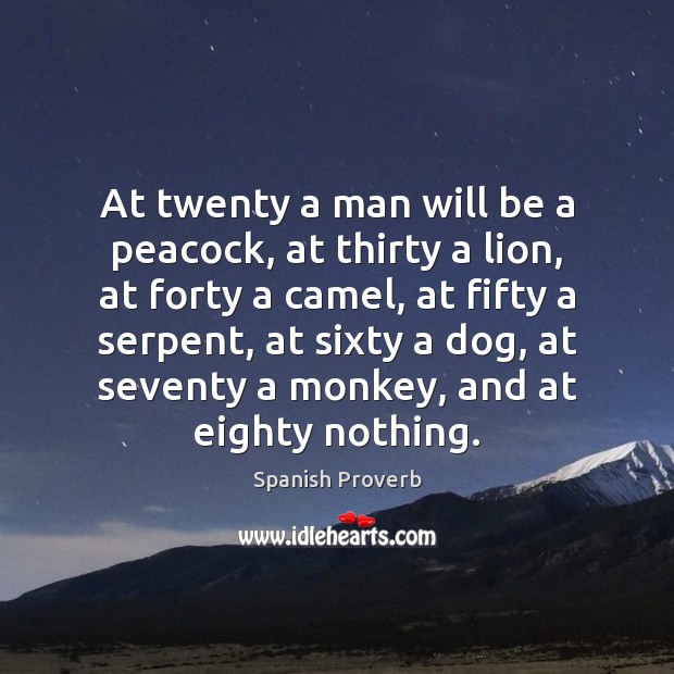 At twenty a man will be a peacock, at thirty a lion Spanish Proverbs Image