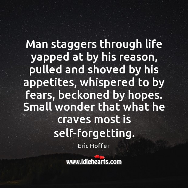 Man staggers through life yapped at by his reason, pulled and shoved Eric Hoffer Picture Quote