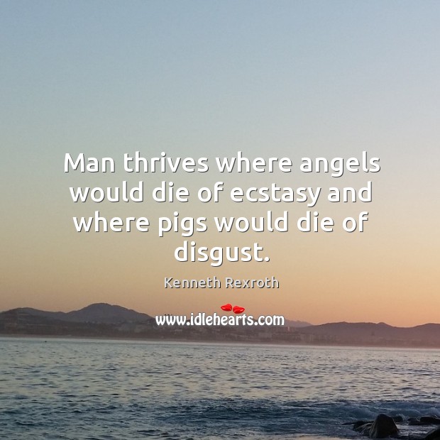 Man thrives where angels would die of ecstasy and where pigs would die of disgust. Kenneth Rexroth Picture Quote