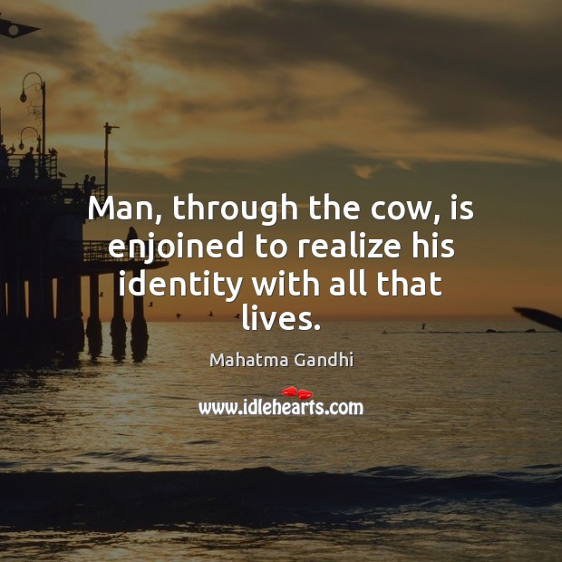 Man, through the cow, is enjoined to realize his identity with all that lives. Image