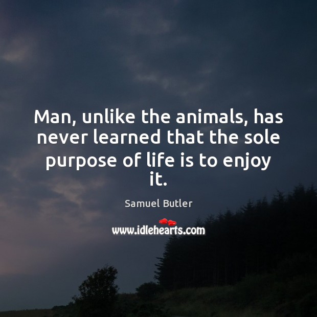 Man, unlike the animals, has never learned that the sole purpose of life is to enjoy it. Samuel Butler Picture Quote