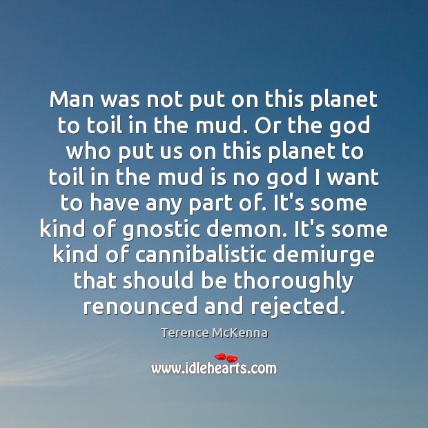 Man was not put on this planet to toil in the mud. Terence McKenna Picture Quote