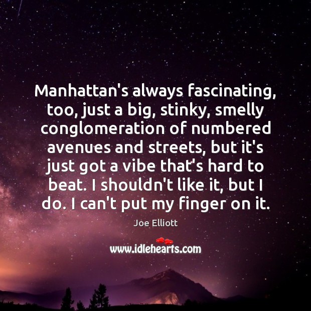 Manhattan’s always fascinating, too, just a big, stinky, smelly conglomeration of numbered Joe Elliott Picture Quote