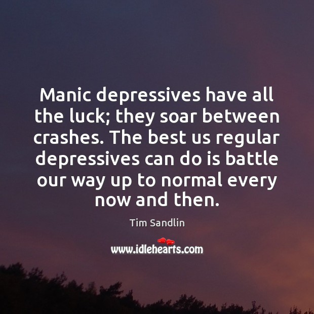 Manic depressives have all the luck; they soar between crashes. The best Tim Sandlin Picture Quote