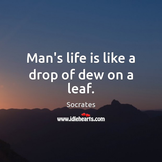Man’s life is like a drop of dew on a leaf. Socrates Picture Quote