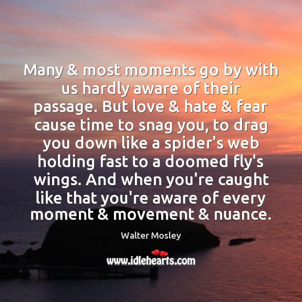 Many & most moments go by with us hardly aware of their passage. Walter Mosley Picture Quote