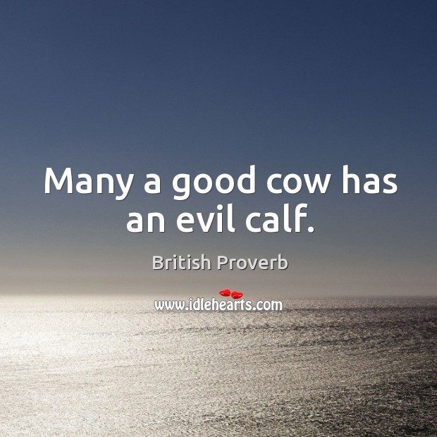 Many a good cow has an evil calf. British Proverbs Image