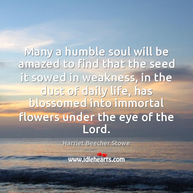 Many a humble soul will be amazed to find that the seed Harriet Beecher Stowe Picture Quote