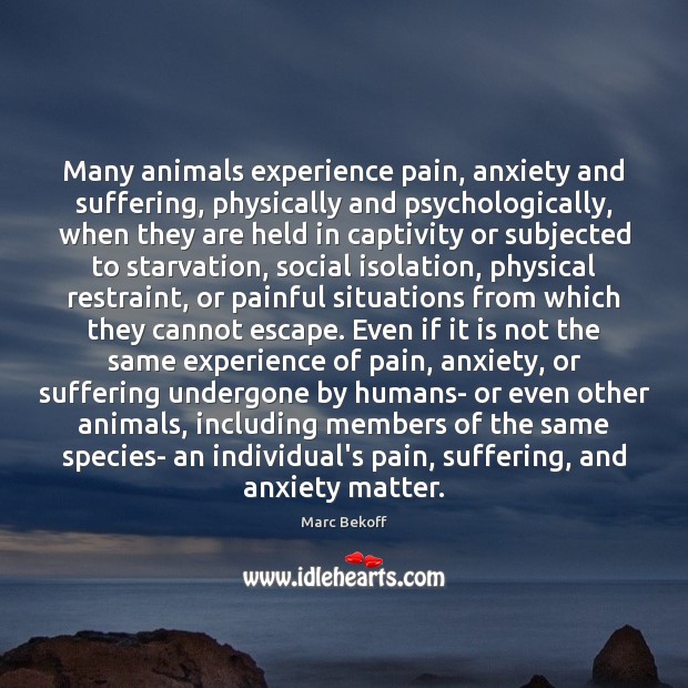 Many animals experience pain, anxiety and suffering, physically and psychologically, when they Image