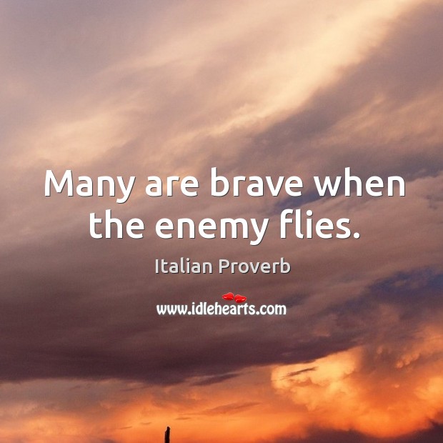 Many are brave when the enemy flies. Image