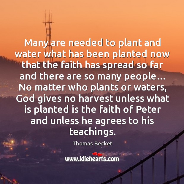 Many are needed to plant and water what has been planted now that the faith has spread Thomas Becket Picture Quote