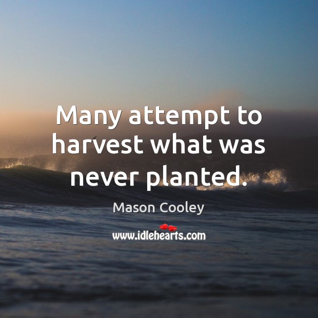 Many attempt to harvest what was never planted. Mason Cooley Picture Quote