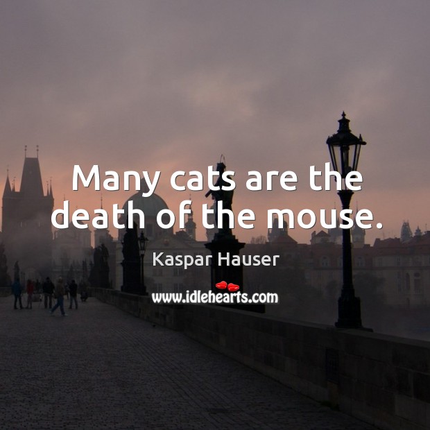 Many cats are the death of the mouse. Kaspar Hauser Picture Quote