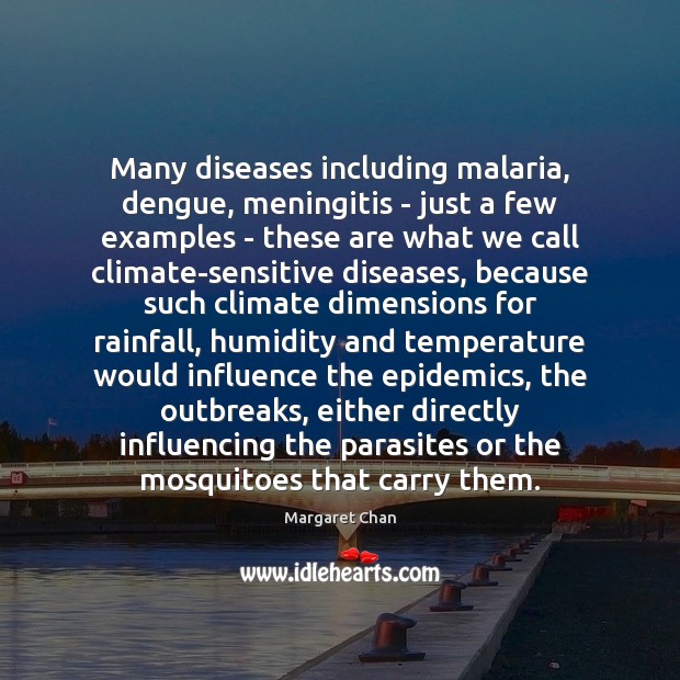 Many diseases including malaria, dengue, meningitis – just a few examples – Image