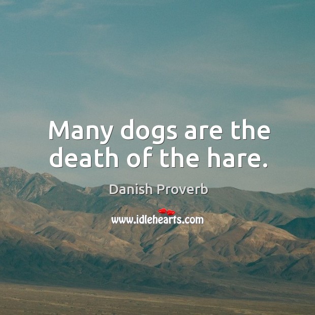Many dogs are the death of the hare. Image