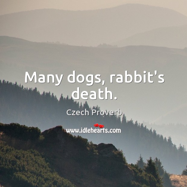 Many dogs, rabbit’s death. Czech Proverbs Image