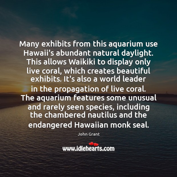 Many exhibits from this aquarium use Hawaii’s abundant natural daylight. This allows 