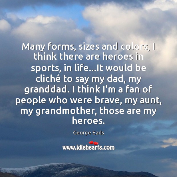 Many forms, sizes and colors, I think there are heroes in sports, George Eads Picture Quote