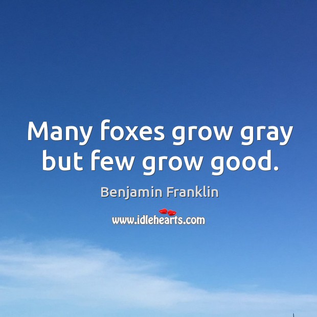 Many foxes grow gray but few grow good. Benjamin Franklin Picture Quote